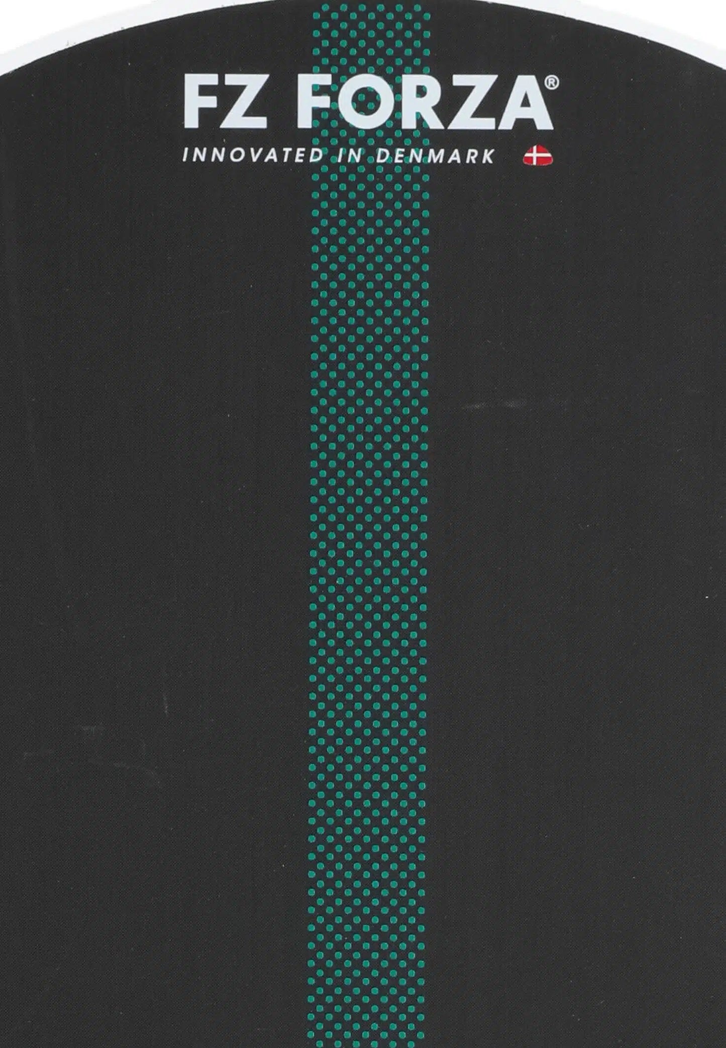 FZ Forza Spirit 1K Pickleballbat