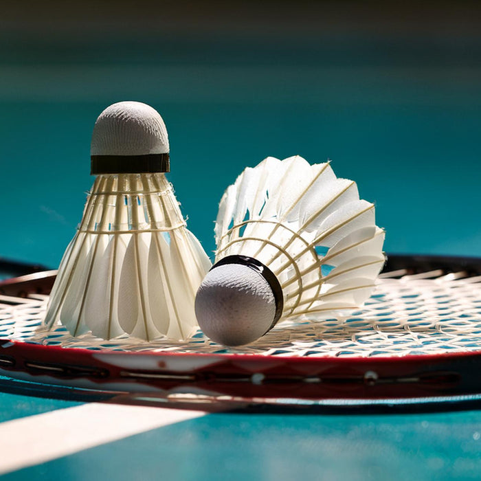 Badmintonketcher med to badmintonbolde på, liggende på gulvet af en badmintonbane