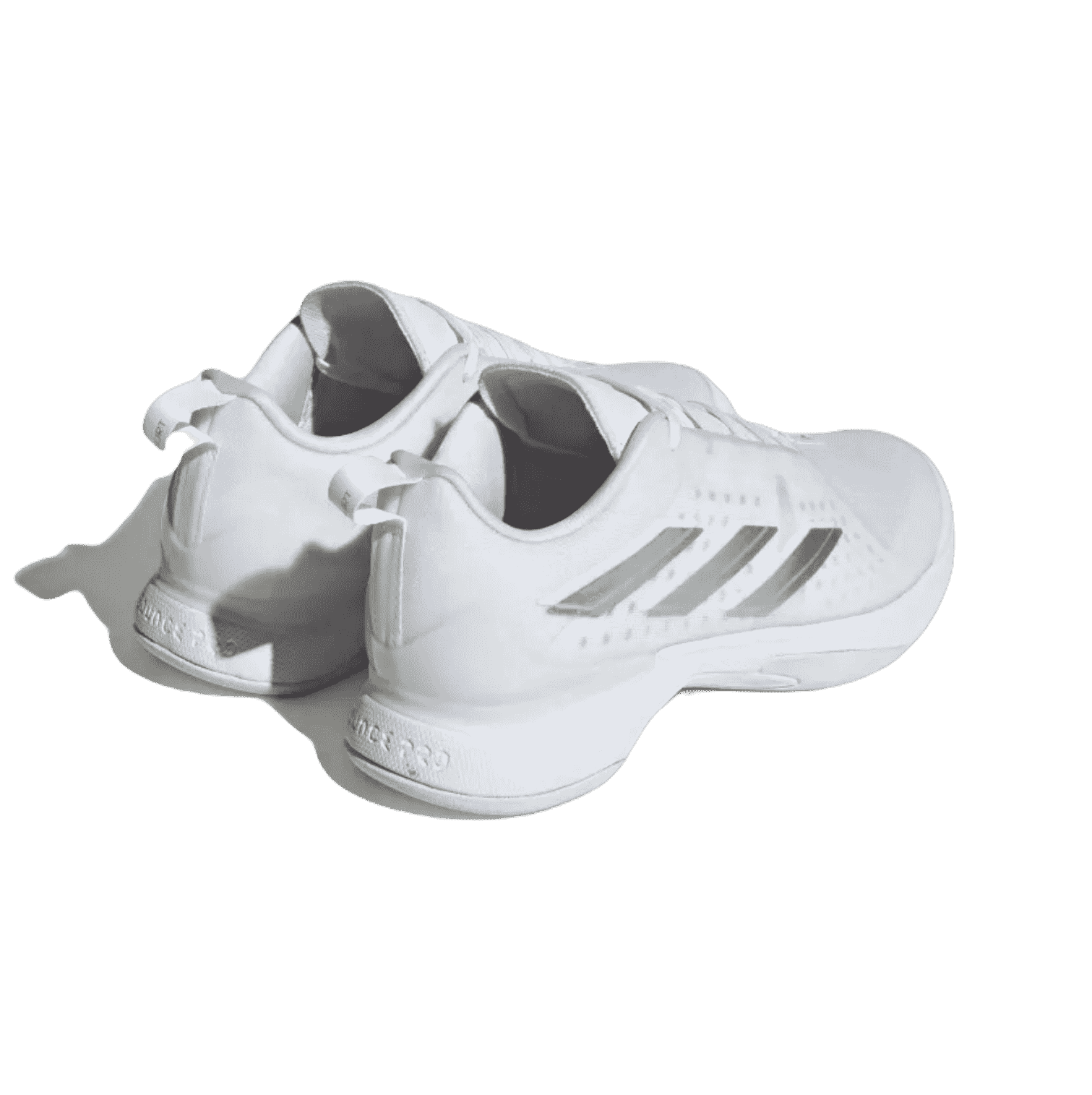 Adidas Avacourt Padelsko (Hvid)