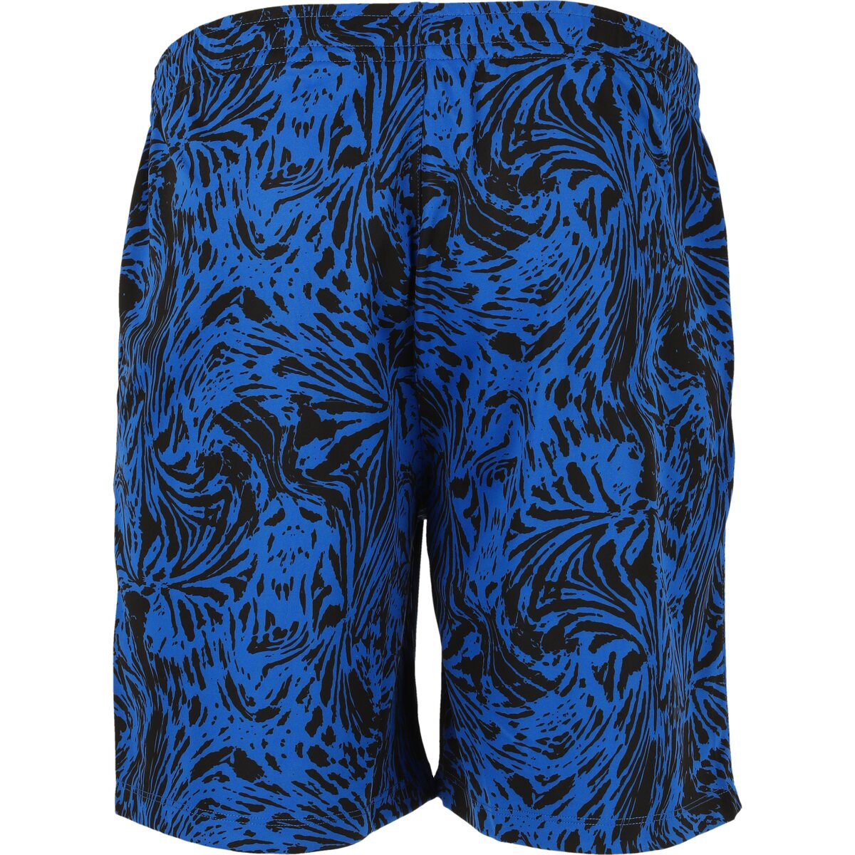 FZ Forza Luton M Shorts (Olympian Blue)