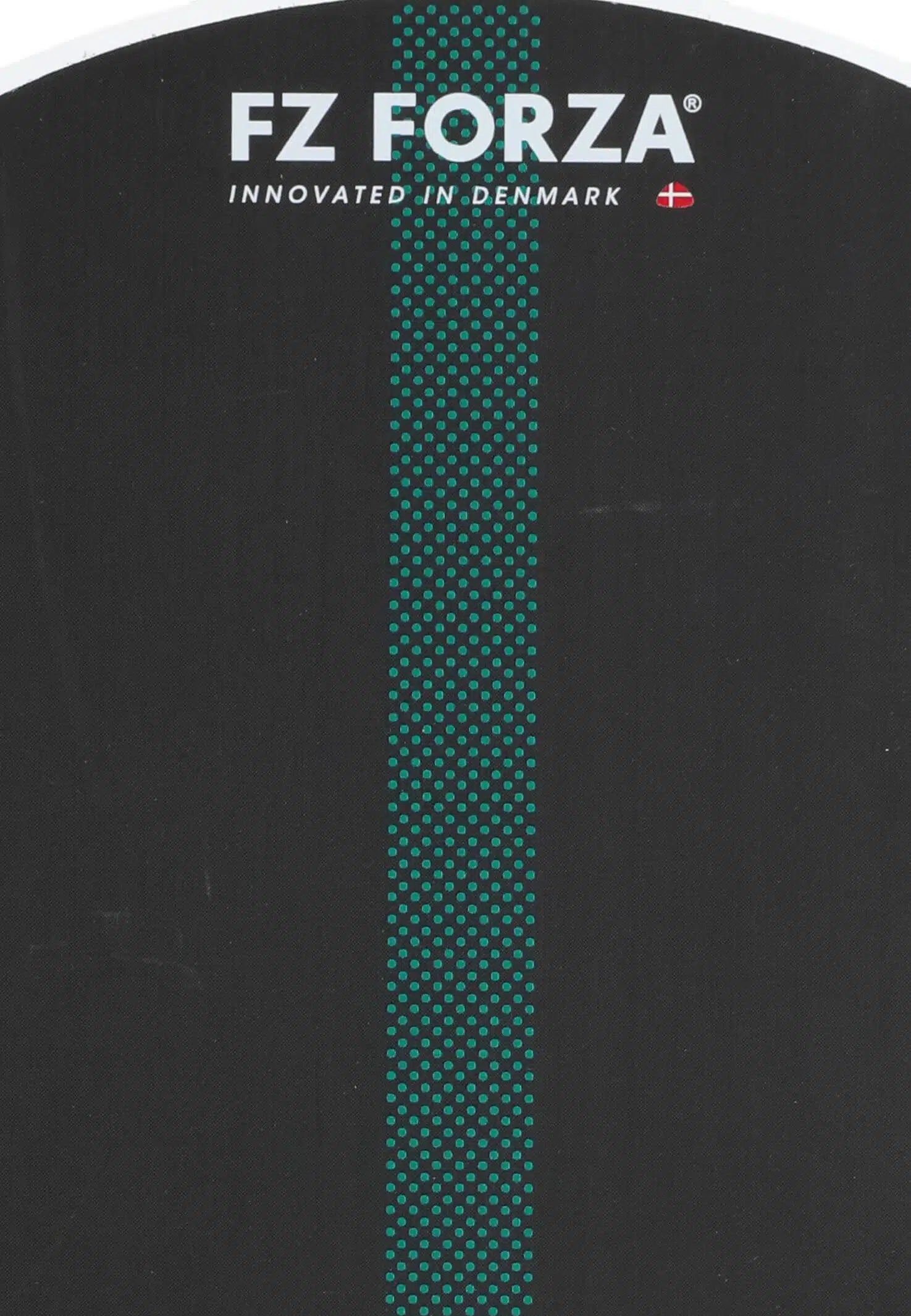 FZ Forza Spirit 1K Pickleballbat